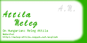 attila meleg business card